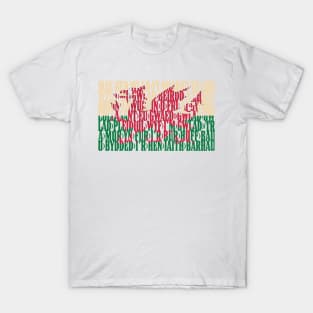 Wales national anthem flag - Hen Wlad Fy Nhadau / Land Of My Fathers T-Shirt